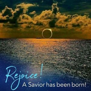 Meet your Posher, Darci